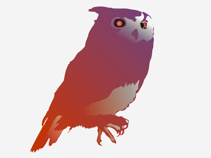 Owl illustration